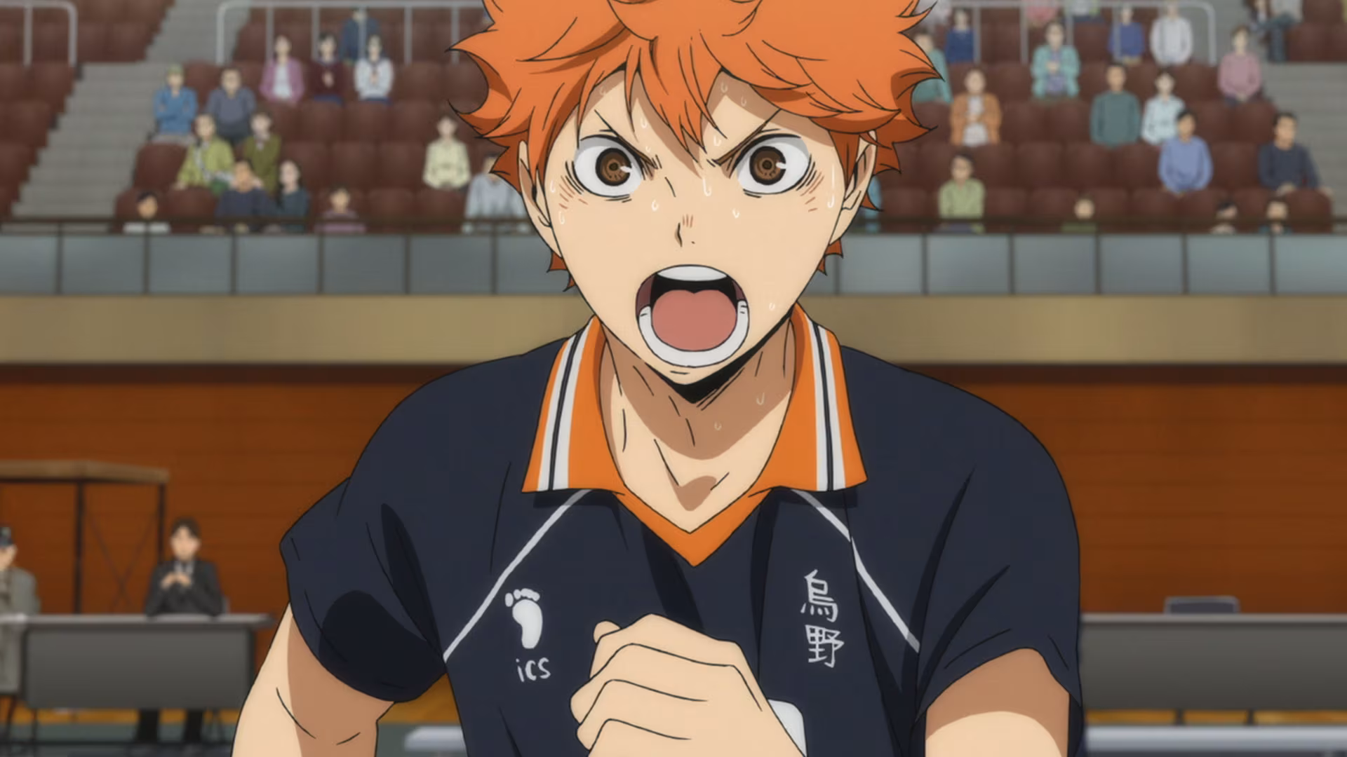 Sports anime haikyuu