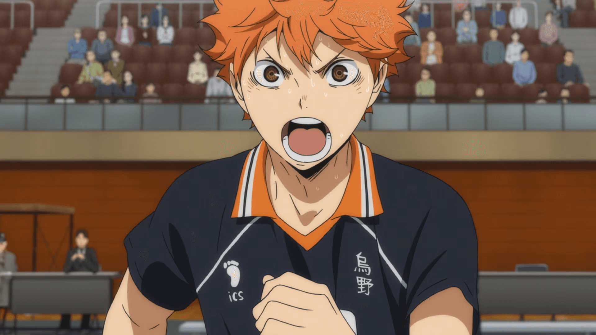 Sports anime haikyuu